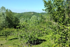 IMG_20260416_154440764_HDR