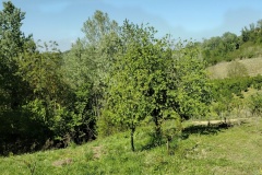 IMG_20260416_154442442_HDR
