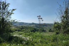 IMG_20260416_163328522_HDR