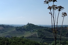 IMG_20260416_163331683
