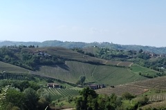 IMG_20260416_163405608